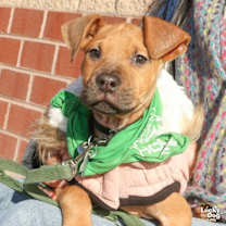 Thumbnail photo of Mia #2