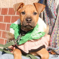 Thumbnail photo of Mia #3