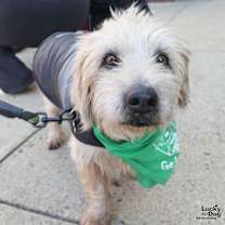 Thumbnail photo of Freedom #1