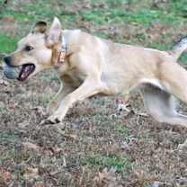 Thumbnail photo of PEARLE #3