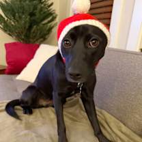 Thumbnail photo of Macie #1