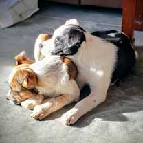 Thumbnail photo of Wednesday Foha Local #3