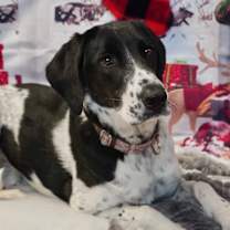 Thumbnail photo of Cece #1