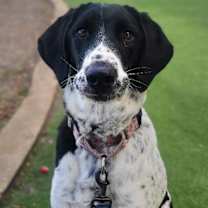 Thumbnail photo of Cece #4