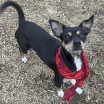 Thumbnail photo of Kai #1