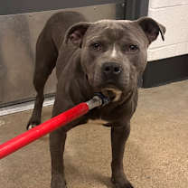 Thumbnail photo of Hobnob 21 #3