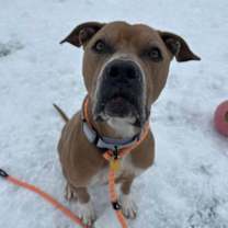 Thumbnail photo of Aunt Carol 56 #2