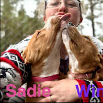 Thumbnail photo of Sadie & Winnie ‼️ BONDED ‼️ #1