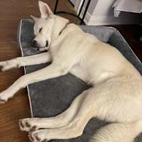 Thumbnail photo of Saint #1