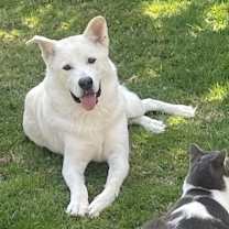 Thumbnail photo of Saint #2