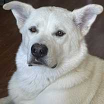 Thumbnail photo of Saint #3