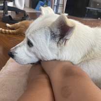 Thumbnail photo of Saint #4