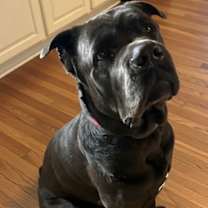 Thumbnail photo of Muth #1