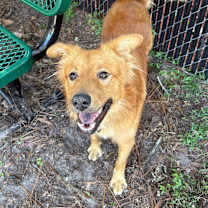 Thumbnail photo of King #3