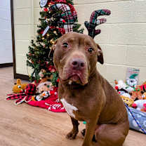 Thumbnail photo of Momo #1