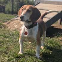 Thumbnail photo of Clark #1