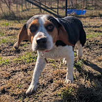 Thumbnail photo of Ernie #1