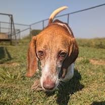 Thumbnail photo of Clark #3