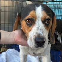 Thumbnail photo of Ernie #2