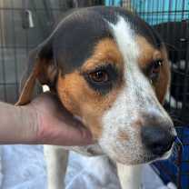 Thumbnail photo of Ernie #3