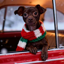 Thumbnail photo of Andy #1