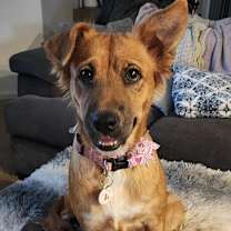 Thumbnail photo of Harper #4