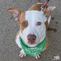 Thumbnail photo of Peaches #3