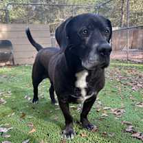 Thumbnail photo of Little foot #1