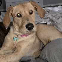 Thumbnail photo of Mollie #3