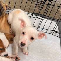 Thumbnail photo of Itsy #2