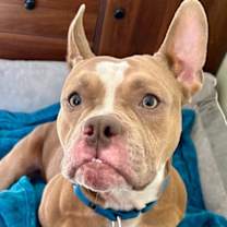 Thumbnail photo of Beatrix #3