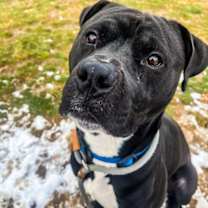 Thumbnail photo of Lightyear #1