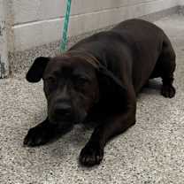 Thumbnail photo of Geraldine #1