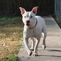 Thumbnail photo of Stella #2