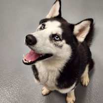 Thumbnail photo of Gilbert #1