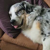 Thumbnail photo of Ben #2