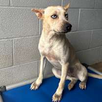 Thumbnail photo of Mandy #4