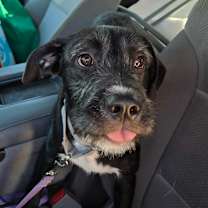 Thumbnail photo of Spaghetti #1