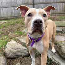 Thumbnail photo of Zoey #4