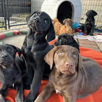 Thumbnail photo of Maverick or Mason or Myles #4