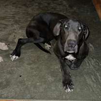 Thumbnail photo of Luna #3