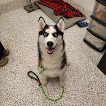 Thumbnail photo of FiFi #1