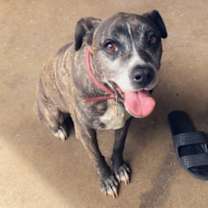 Thumbnail photo of Keaka #1