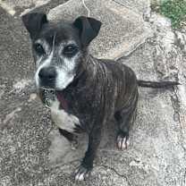 Thumbnail photo of Keaka #2