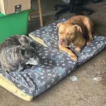 Thumbnail photo of Keaka #3