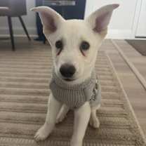 Thumbnail photo of Skylar #2