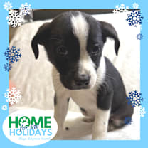 Thumbnail photo of Confetti #1