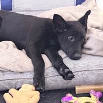 Thumbnail photo of Evera #3