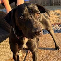 Thumbnail photo of NORI #1