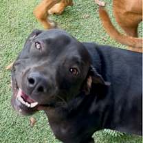 Thumbnail photo of NORI #2